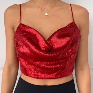 Zara, Sequin Cowl Crop Top - NEW